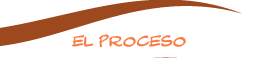 EL PROCESO
