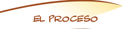 EL PROCESO